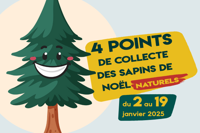 Sapins de Noël : 4 points de collecte